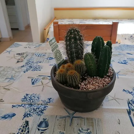 Appartement Mare Fuori Quartu SantʼElena